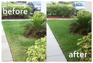 this landscape was taken care of by our Galveston sprinkler repair company