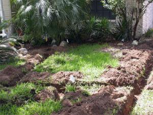 drip irrigation lines will be placed in the trenches by our Galveston sprinkler repair pros