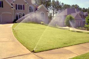 these sprinklers were calibrated by our Galveston irrigation repair techs